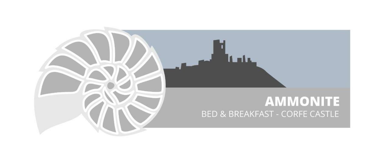 Ammonite Bed & Breakfast Corfe Castle Exterior photo