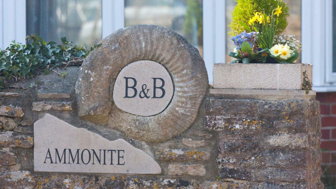 Ammonite Bed & Breakfast Corfe Castle Exterior photo