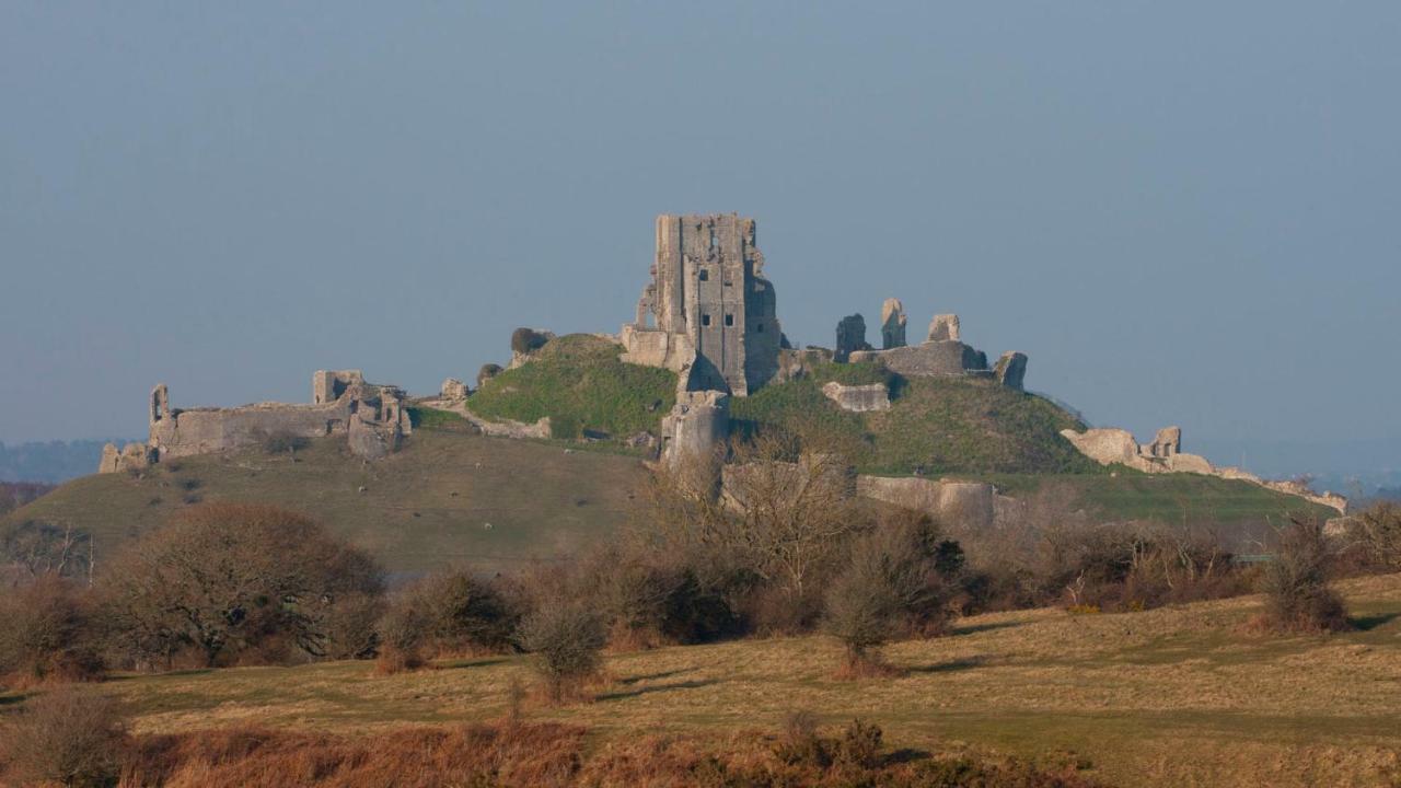 Ammonite Bed & Breakfast Corfe Castle Exterior photo
